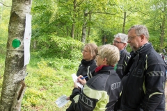 Finnstorps Dammar